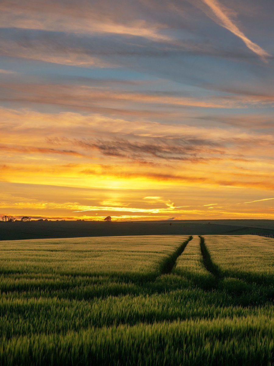 South Downs National Park tweet media