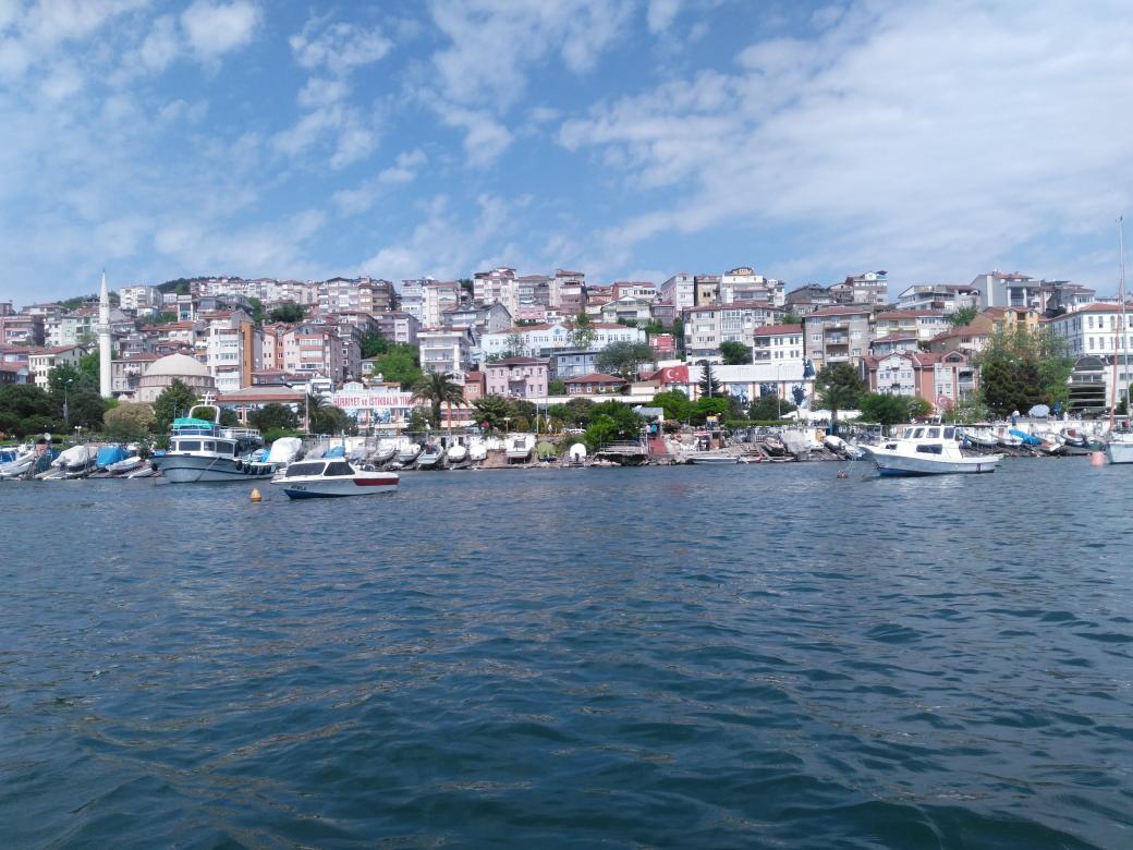 Prf.Dr.Canan Karatay diyor ki 
Aşı olanlar korkmasın , çaresi var ; 

1) Kayatuzu kullanacaklar .
2) Zeytinyağı , sabah aksam günde 2 kez , 1 kahve fincanı alacaklar.
3) Zerdeçal , karabiber , zeytinyağı karışımı  kullanacaklar. 

Bu 3 şık  , 3 ilaç , düzenli yapılacak.