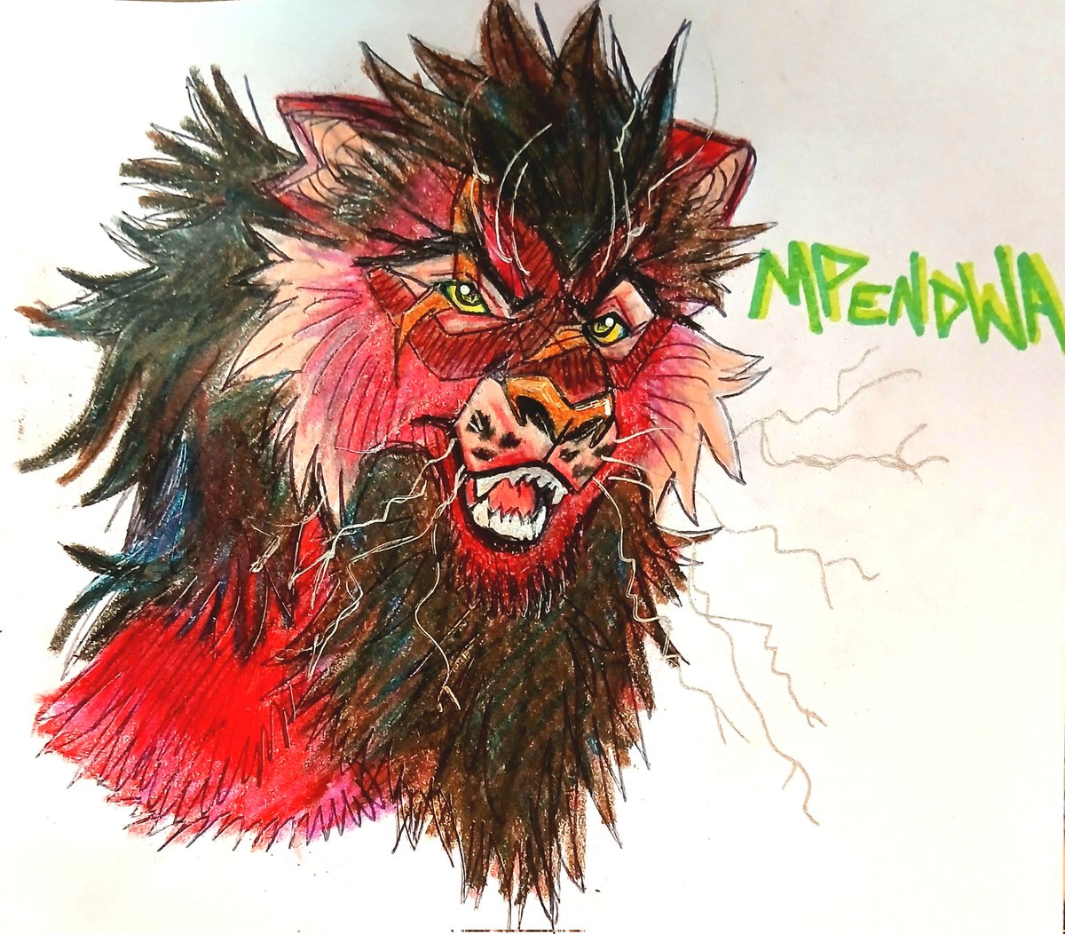 cháchara 🧹🐞 tweet media