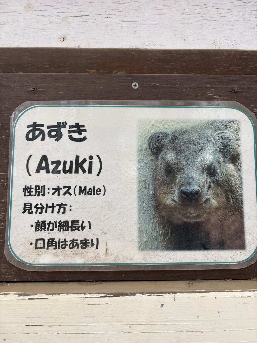 chu_u8's tweet photo. 続きを教えてほしい😂 https://t.co/s8k59ZBpAi