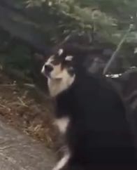 Simi B Good tweet media