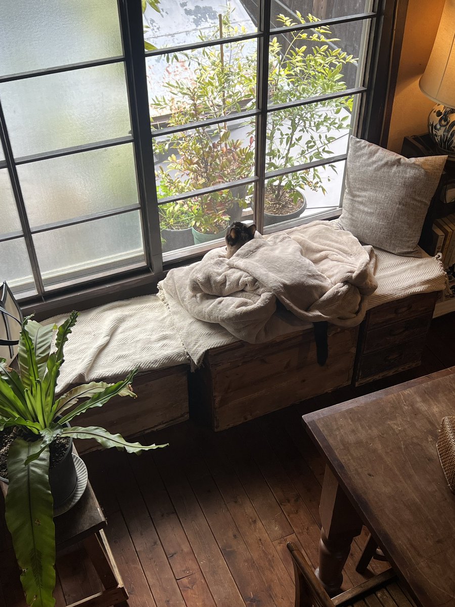 編集部Y tweet media