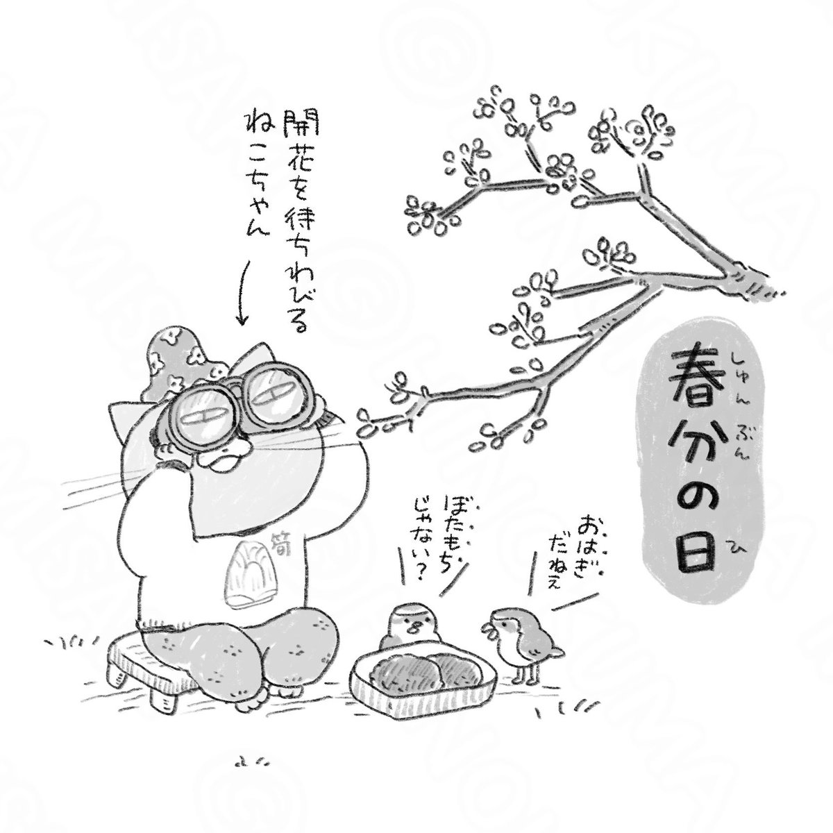 hino_kuma_'s tweet photo. 🌸👀 https://t.co/w4Y4eKFrfp