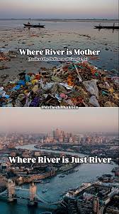 बिहारी छौरा tweet media