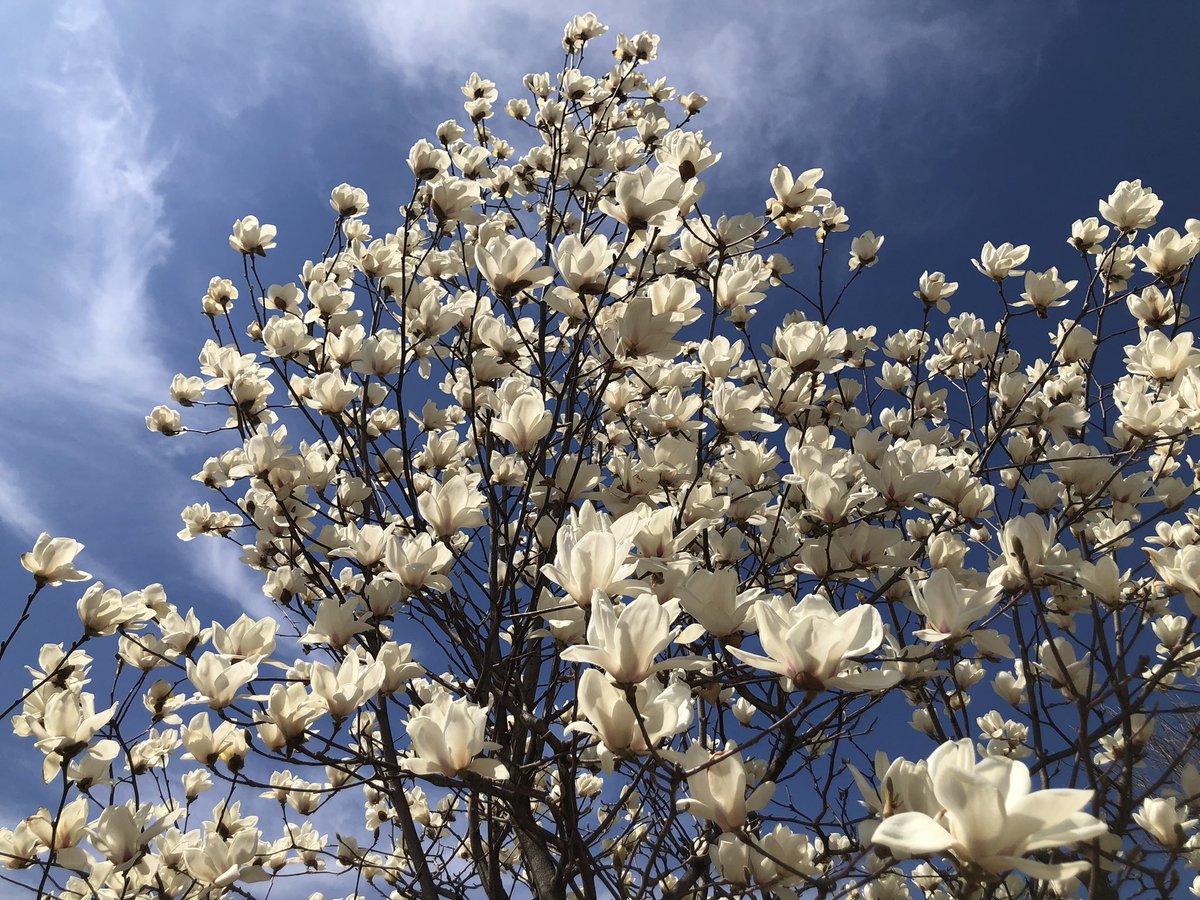 🦋오승용🍎 ⛅️ tweet media