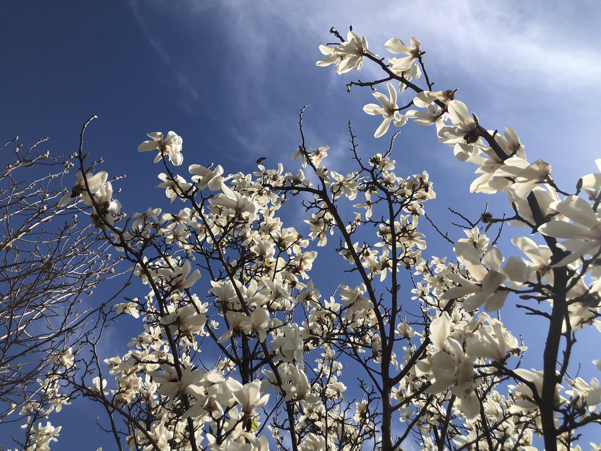 🦋오승용🍎 ⛅️ tweet media