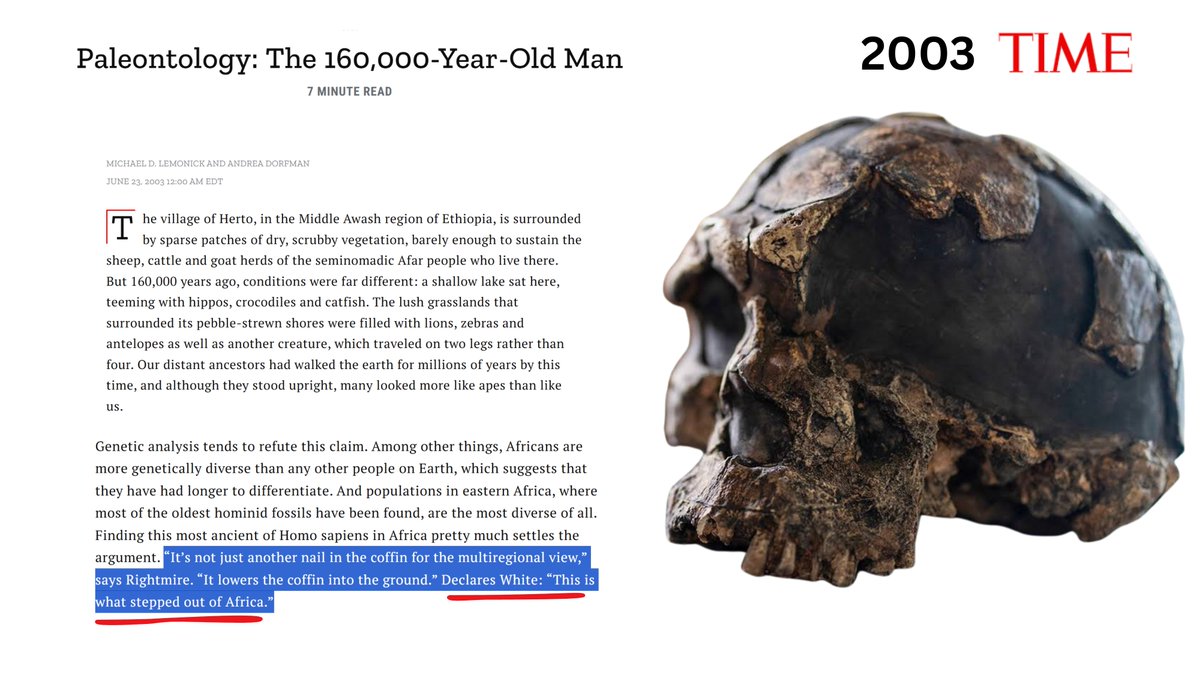 Compelling Archaeology tweet media