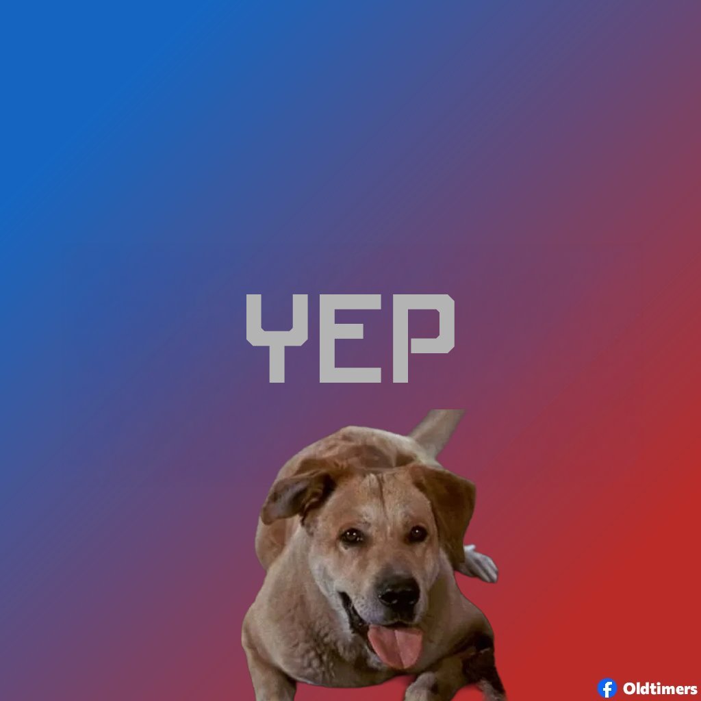 Scott Host: DemonStar - Raptor Call of the Shadows tweet media