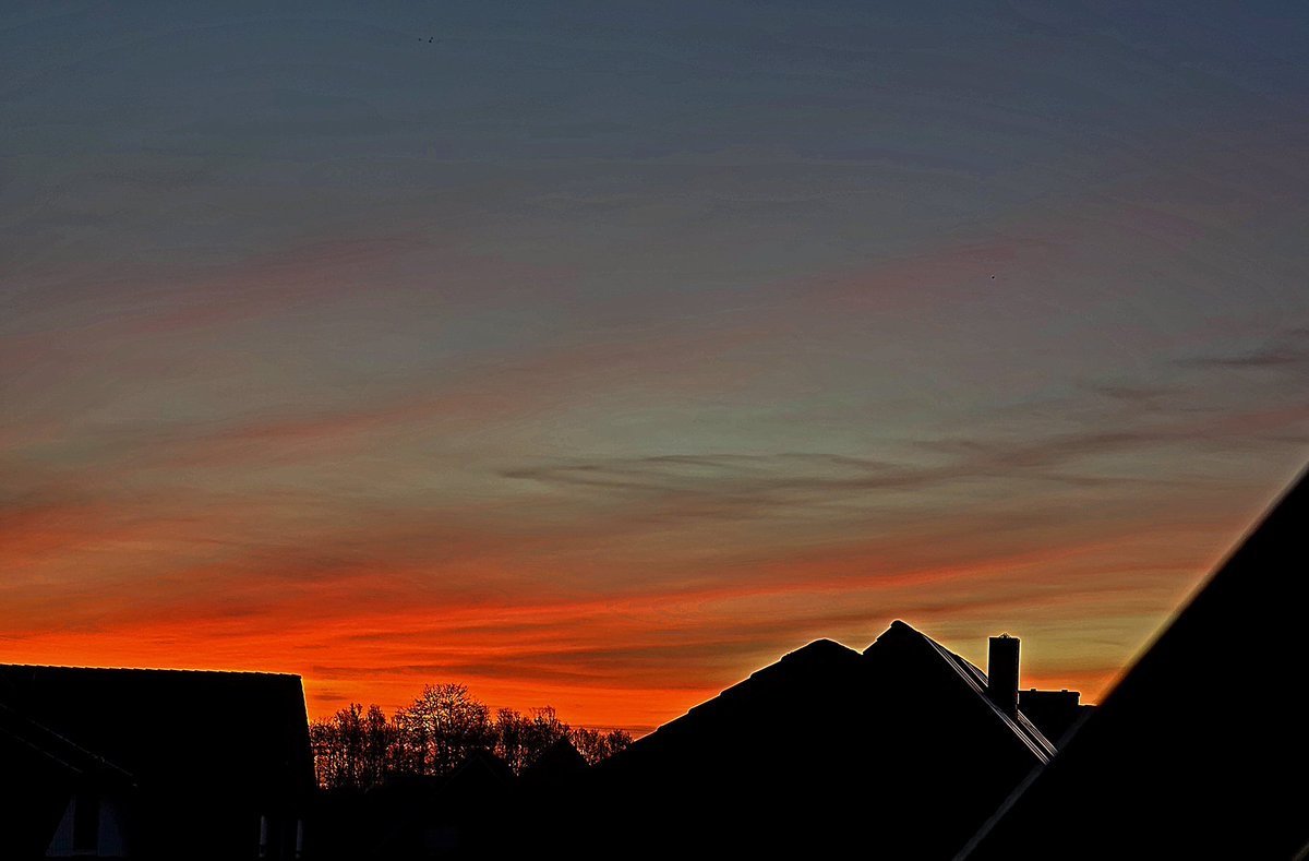 Uta Rabe🏊♀️🚴♀️🚶🧘🌈🐬📕 tweet media