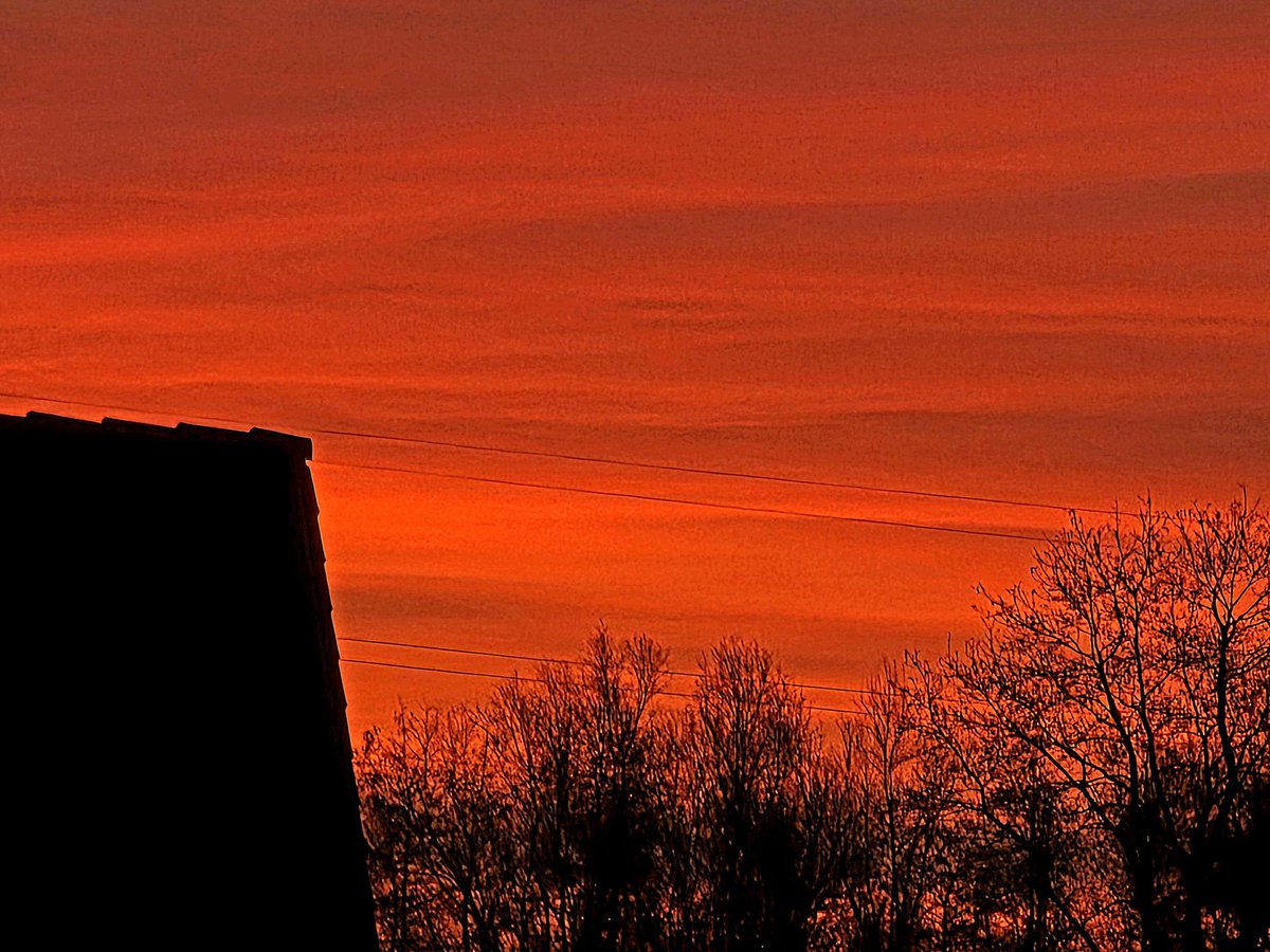 Uta Rabe🏊♀️🚴♀️🚶🧘🌈🐬📕 tweet media