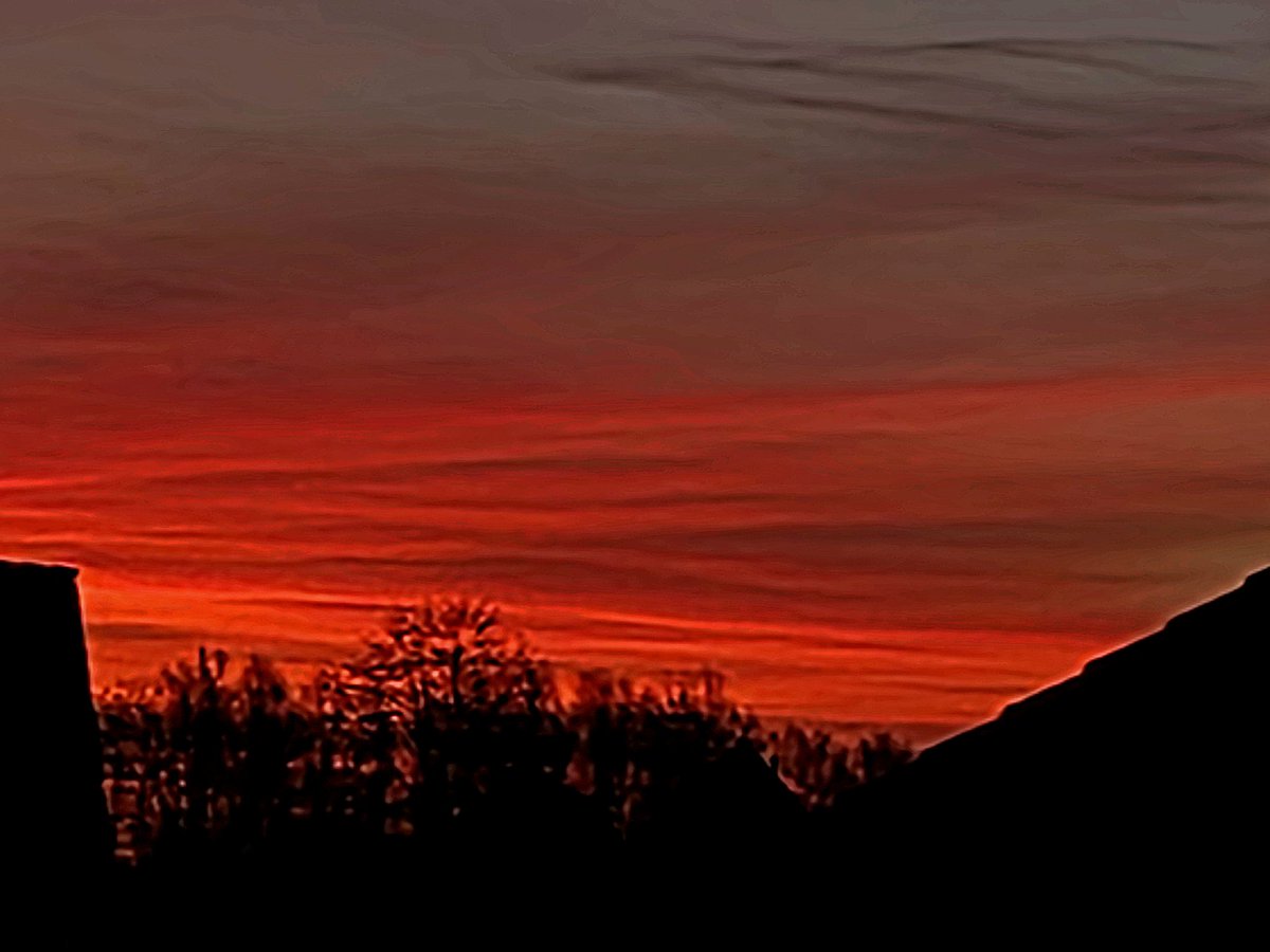 Uta Rabe🏊♀️🚴♀️🚶🧘🌈🐬📕 tweet media