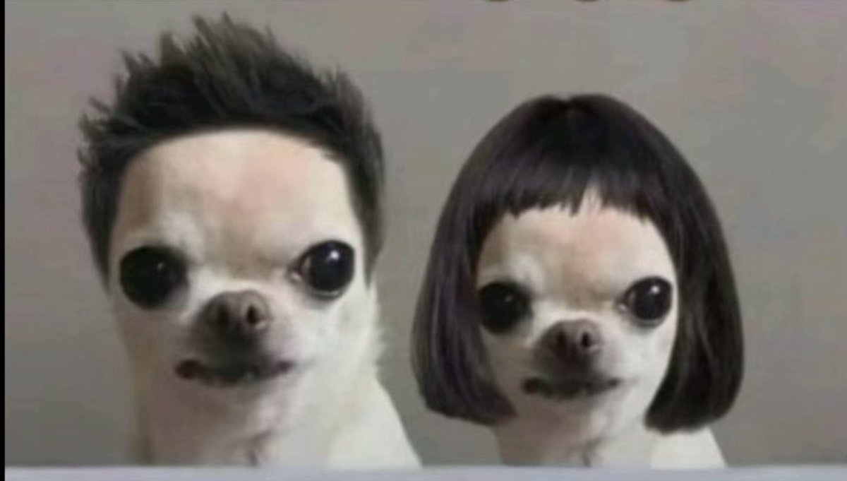 Ama-vera tweet media