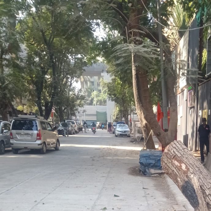 Ward RN BMC tweet media