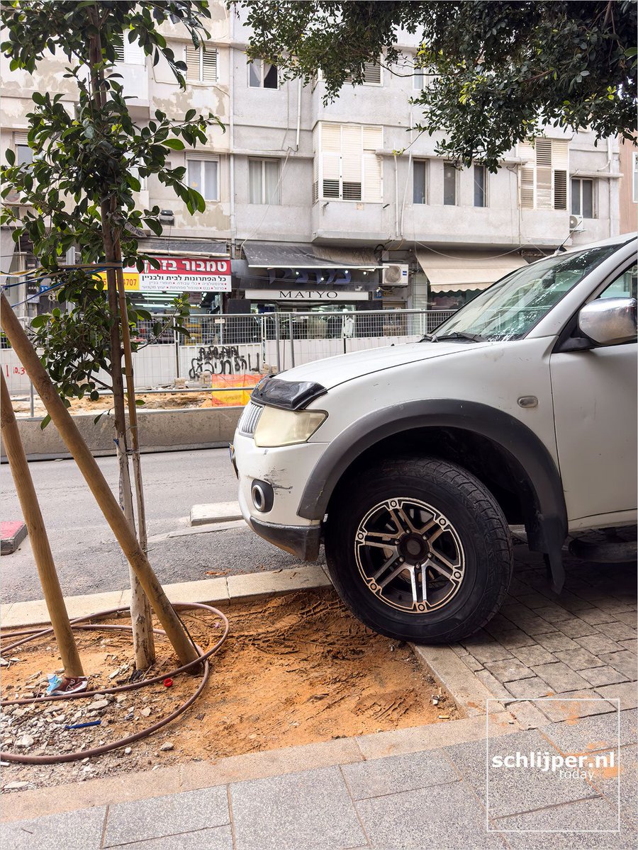 Thomas Schlijper תומאס סלייפר tweet media