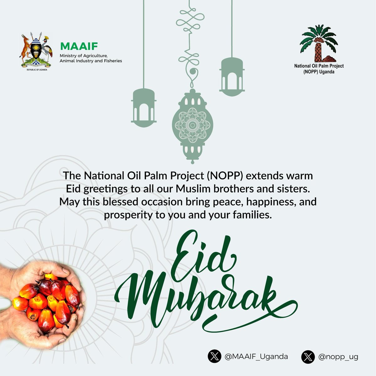 National Oil Palm Project tweet media