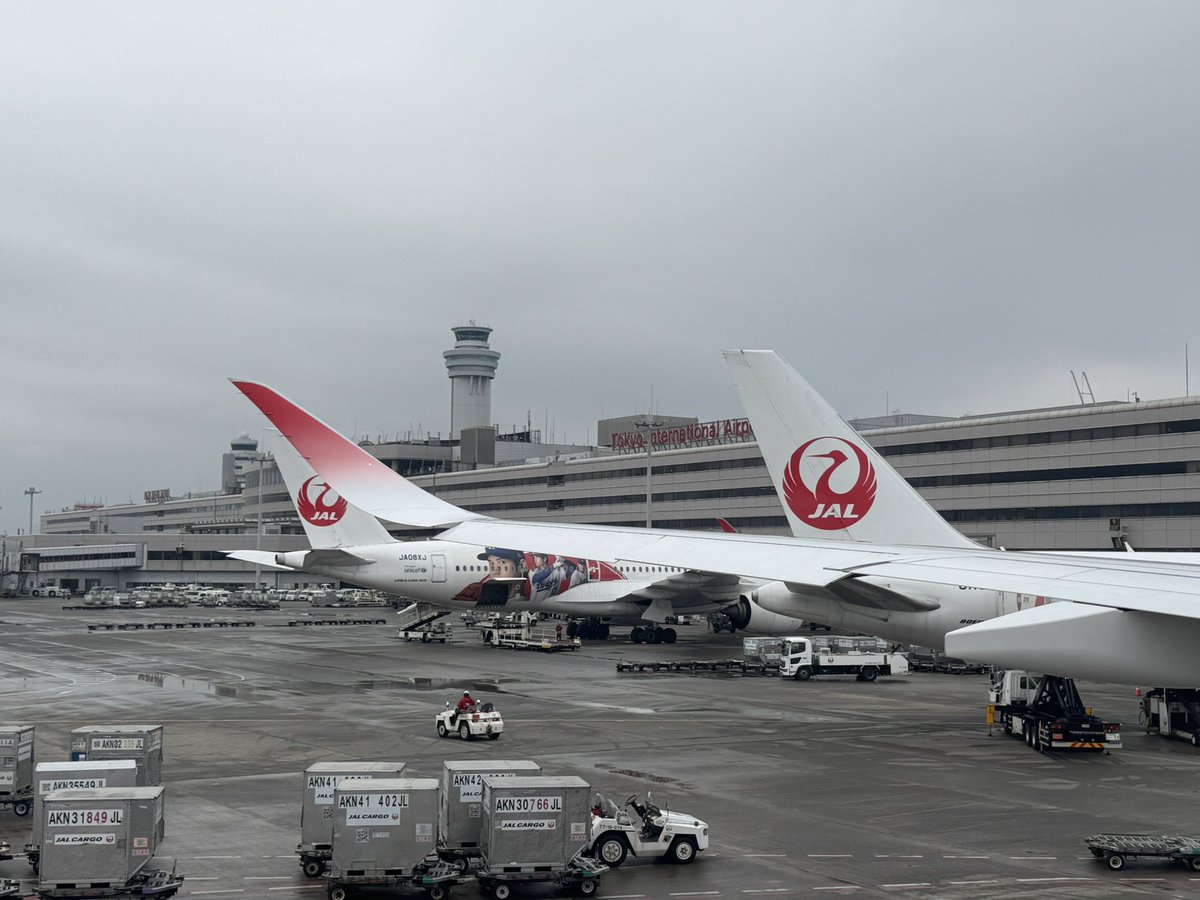 nemsarf's tweet photo. 帰ってきたー
東京( ﾟ∀ﾟ) https://t.co/RKfR9a2EZ1