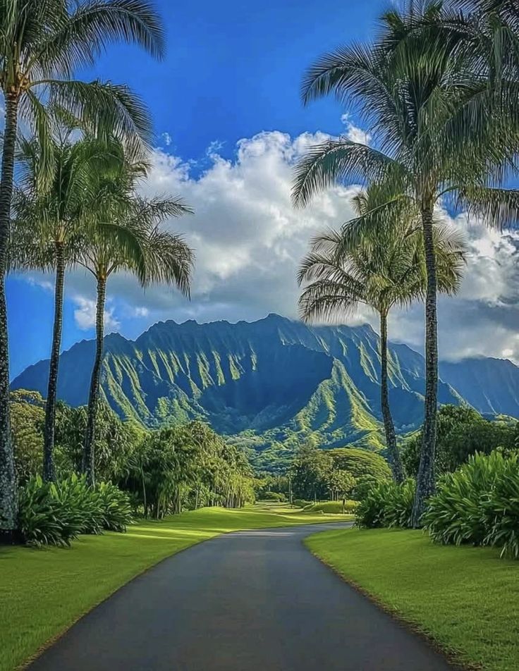 Wander Aesthetic tweet media