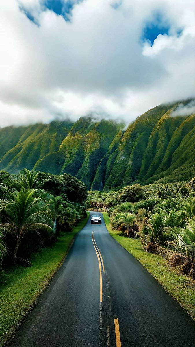 Wander Aesthetic tweet media