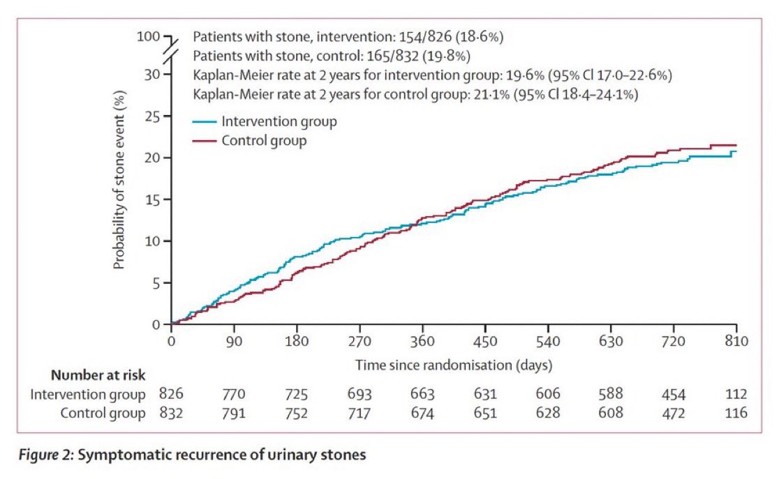 Rob Calvert tweet media