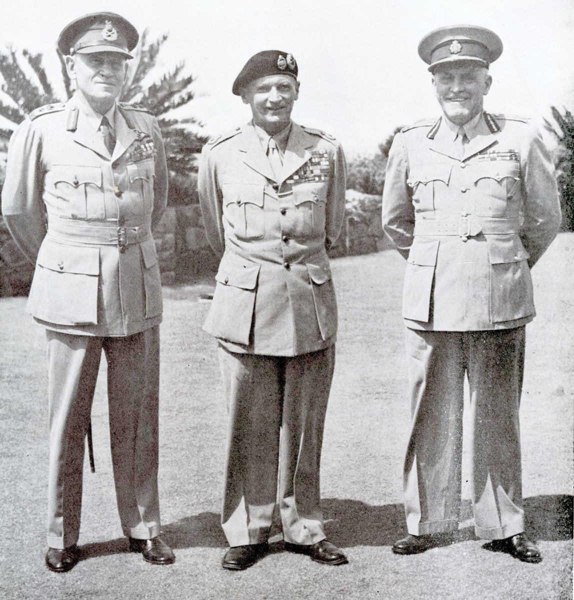 Mike the Warthog tweet media