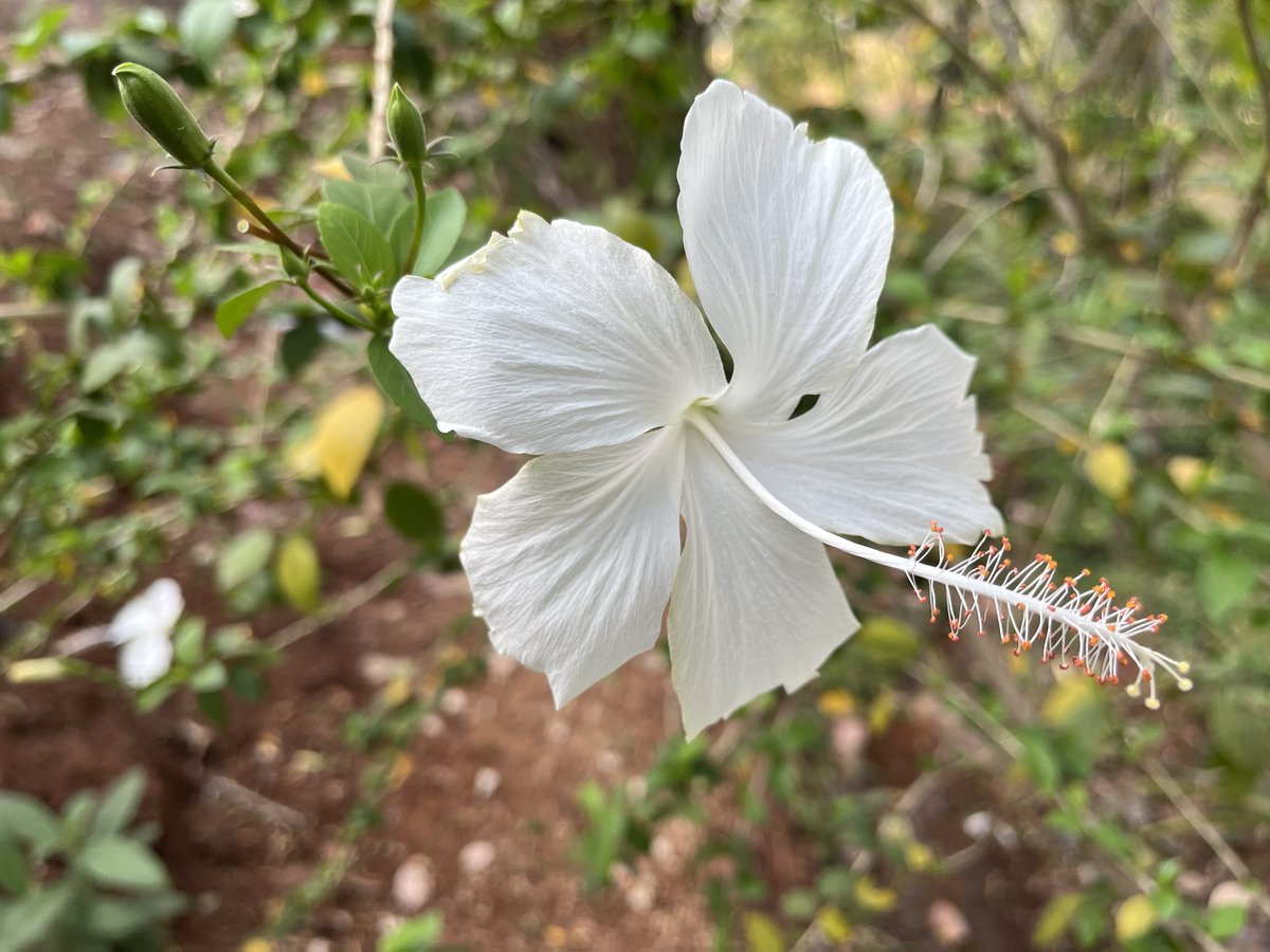 Namdev Katkar tweet media