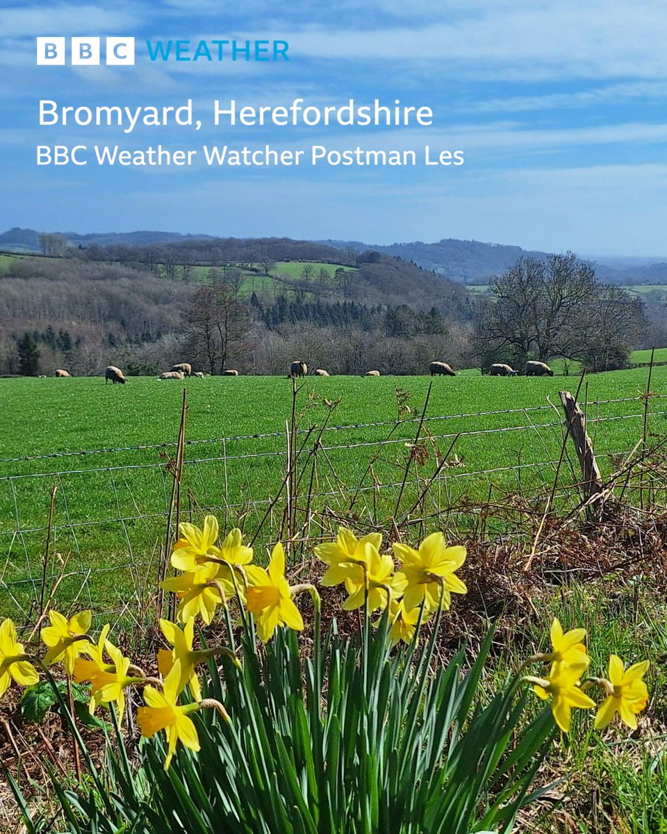 BBC Hereford & Worcester tweet media