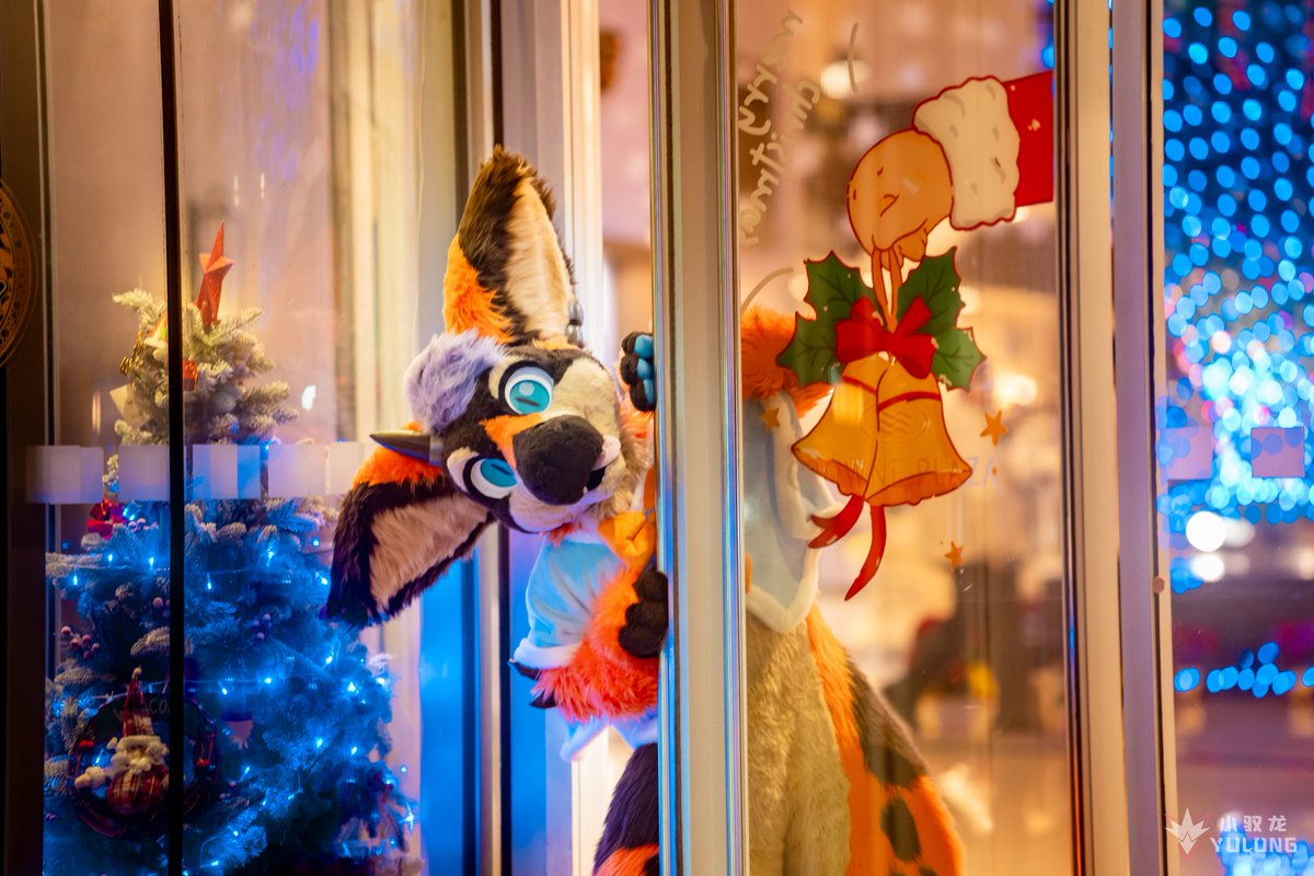 丹波( Dumbo ) & 秋葵( Fallkui ) 🔜2026？ tweet media