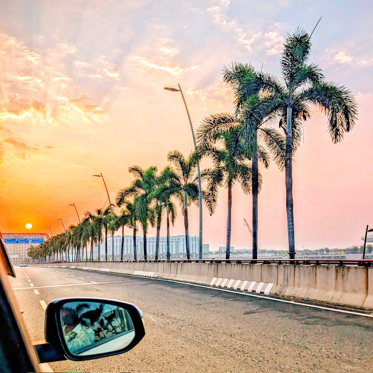 Philippa J Kaye tweet media