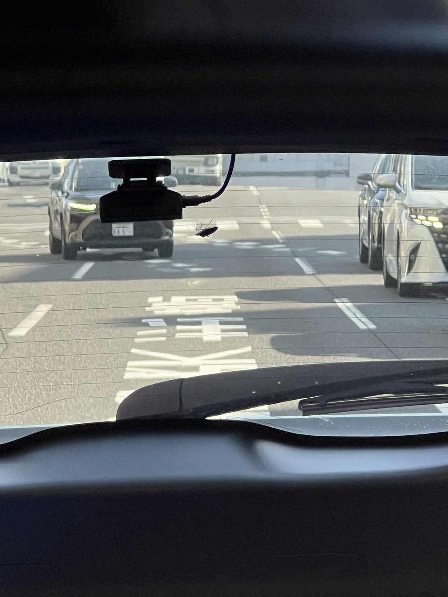 らうすこんぶ tweet media