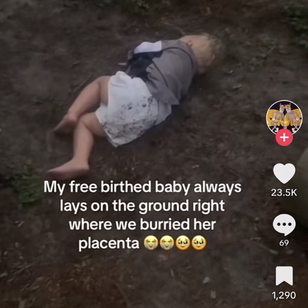 iss 💿 zig summer tweet media