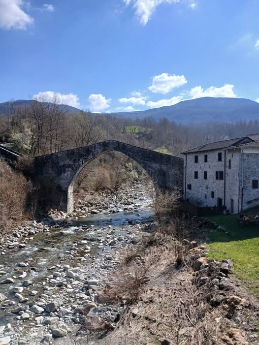 pier luigi pinna tweet media