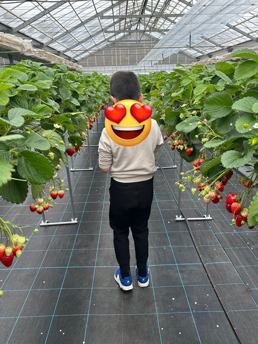 シングルパパ　あきひろと tweet media