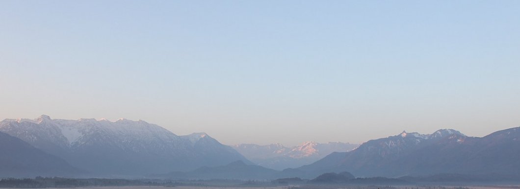 Collet Liz | ⚖️🖊️ tweet media