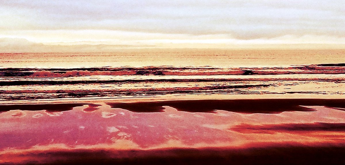 BizieneA tweet media