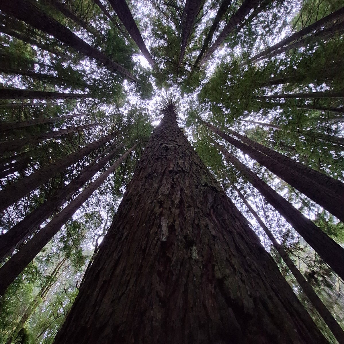 Lake! ^-^ tweet media