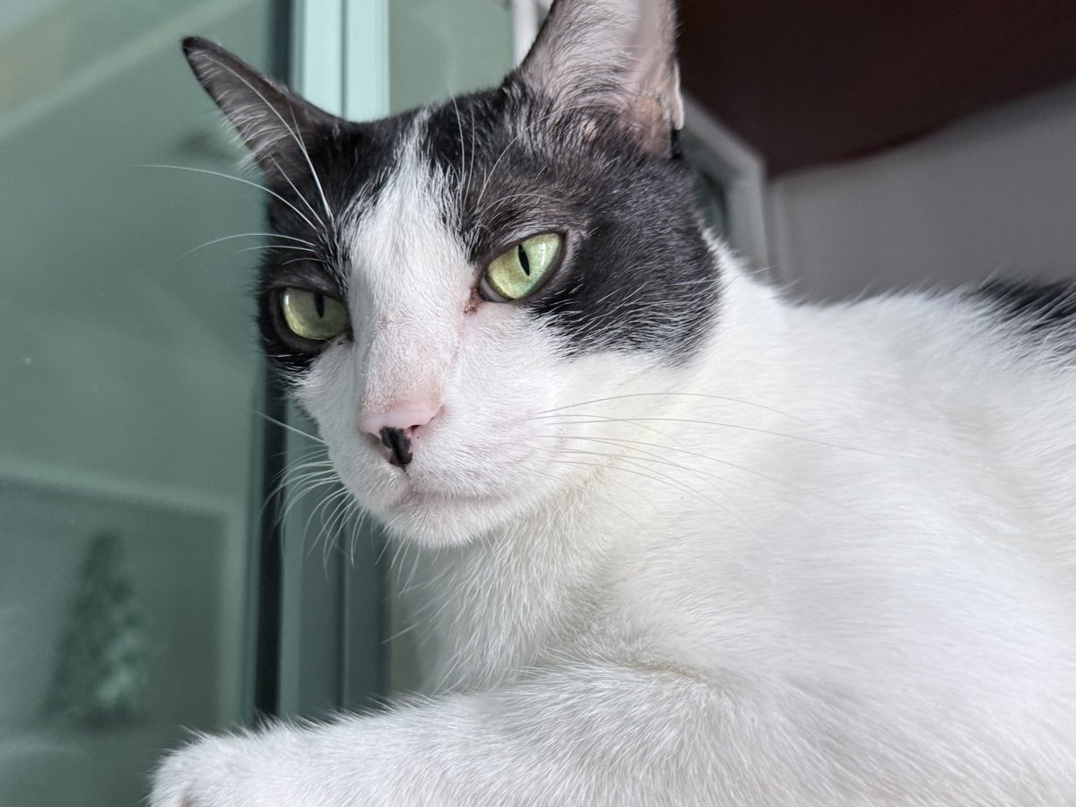 พอจอ 𑣲ˏ tweet media