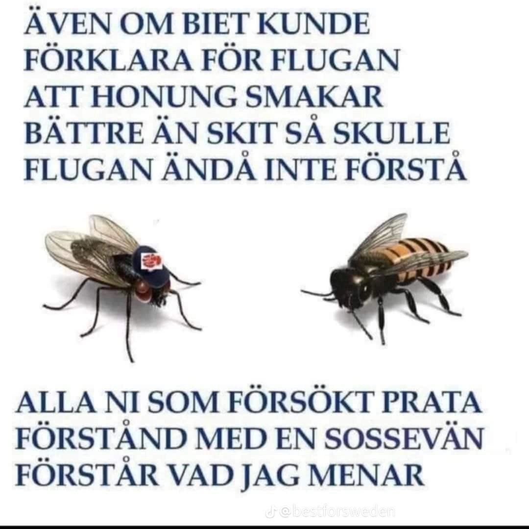 Riddervold tweet media