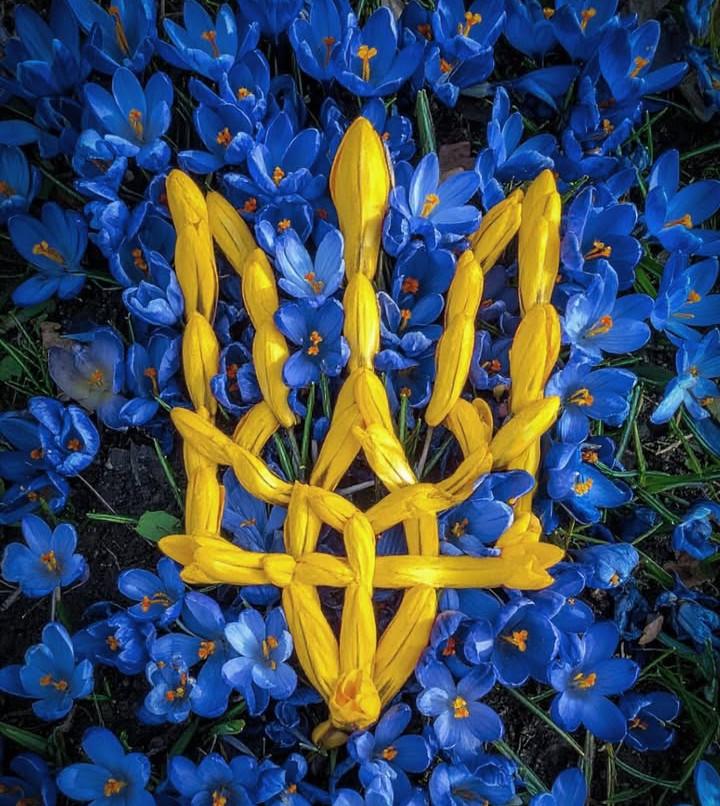 NotIvanoFarsky⚪⚫⚪ tweet media