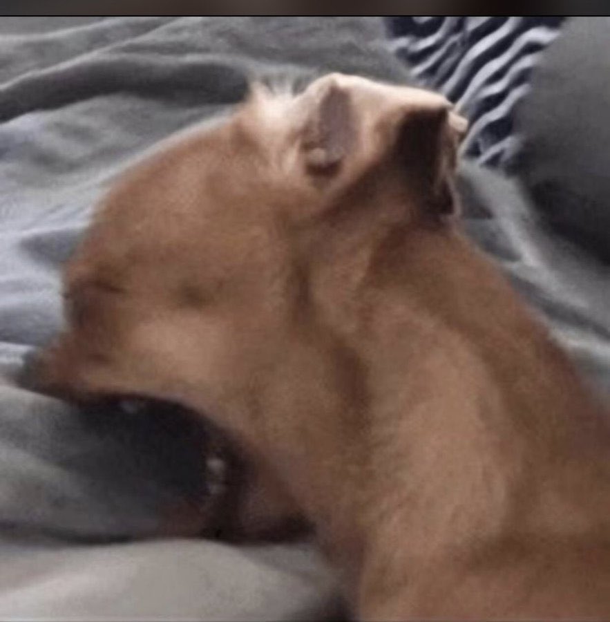 iam_highdar tweet media