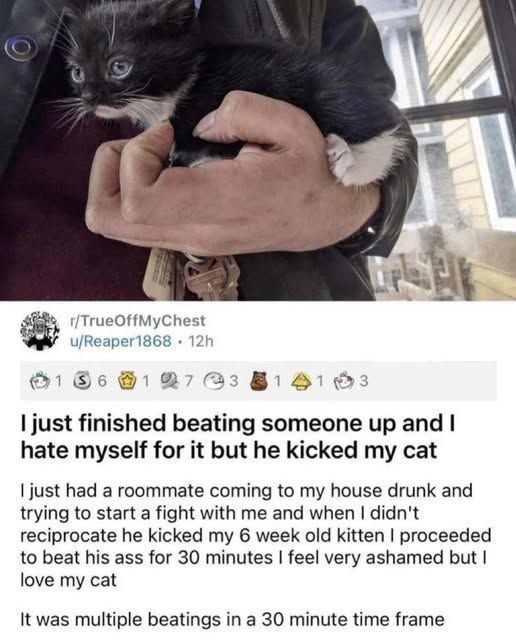 Reddit Lies tweet media