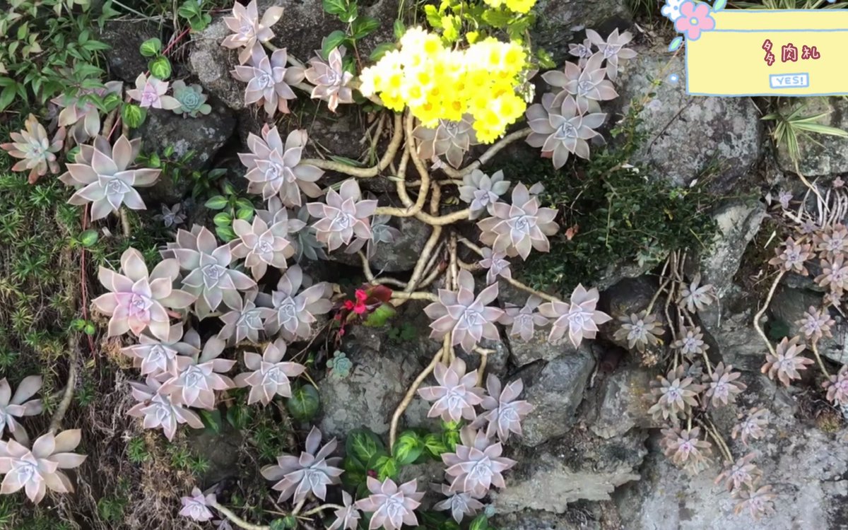 eksara kun tweet media