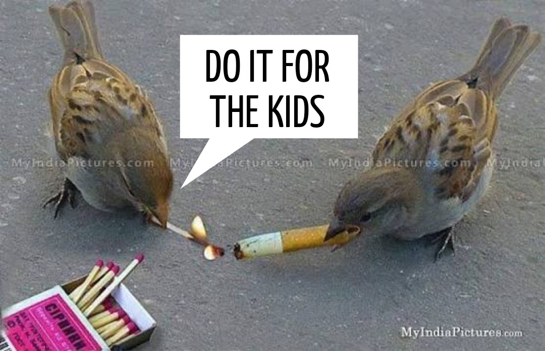 🇺🇦 Systemnutte 🇺🇦 (Linksgrüner Spinner) 💚 tweet media