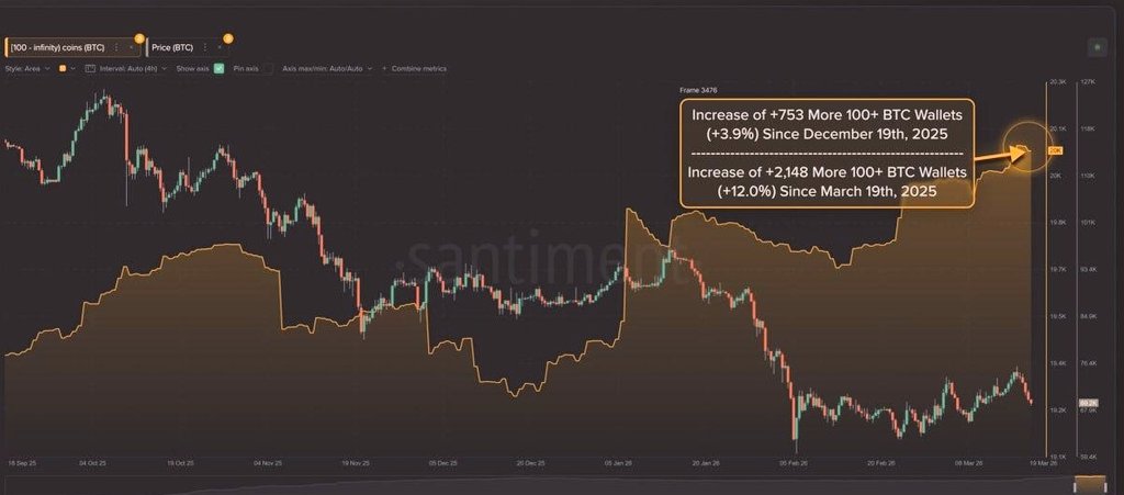 Moaak 🦍 tweet media