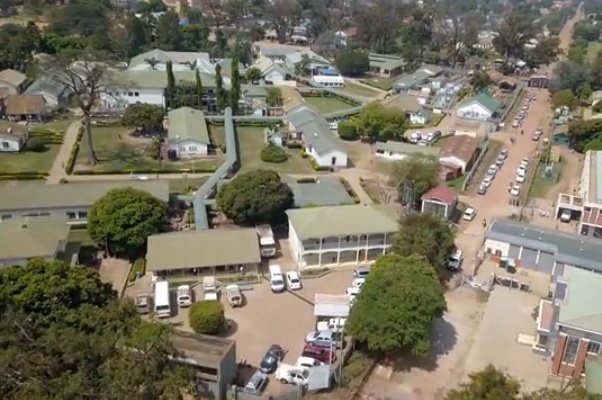 Lango Unveiled 🌴 tweet media