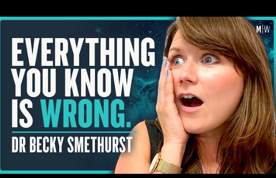 Mita Mitic tweet media