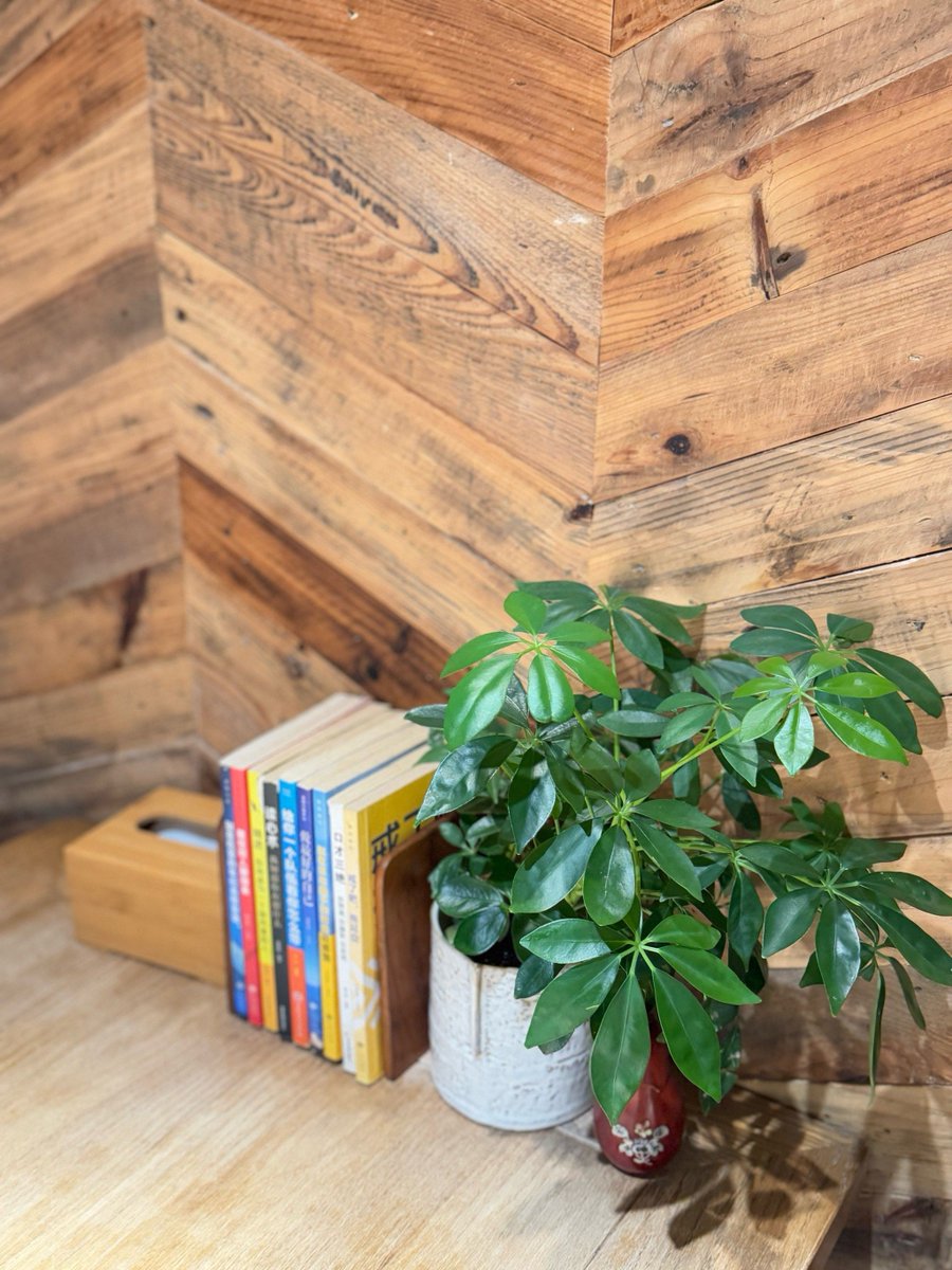 tarikcevik tweet media