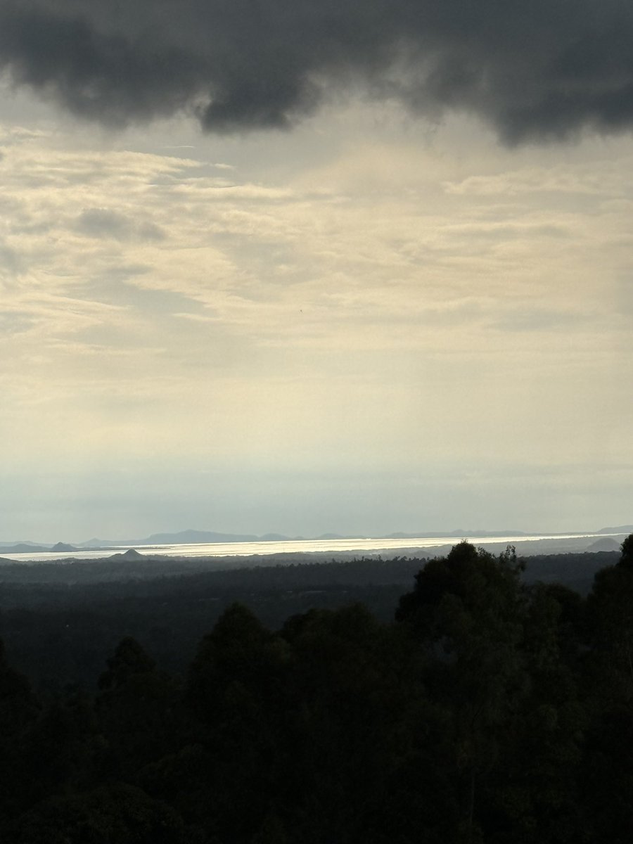 Daktari 📯  tweet media