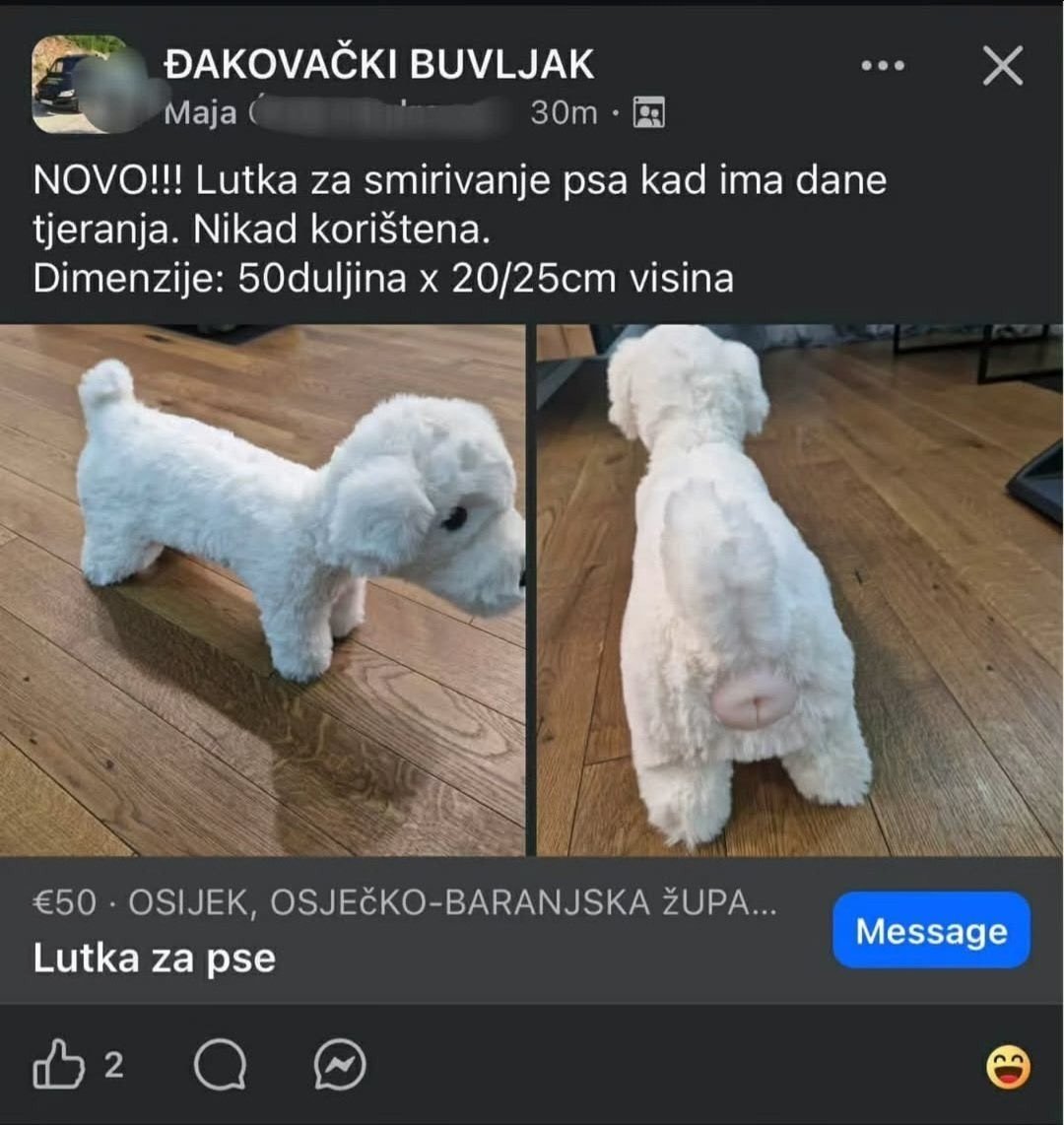 Јанко Илковски tweet media