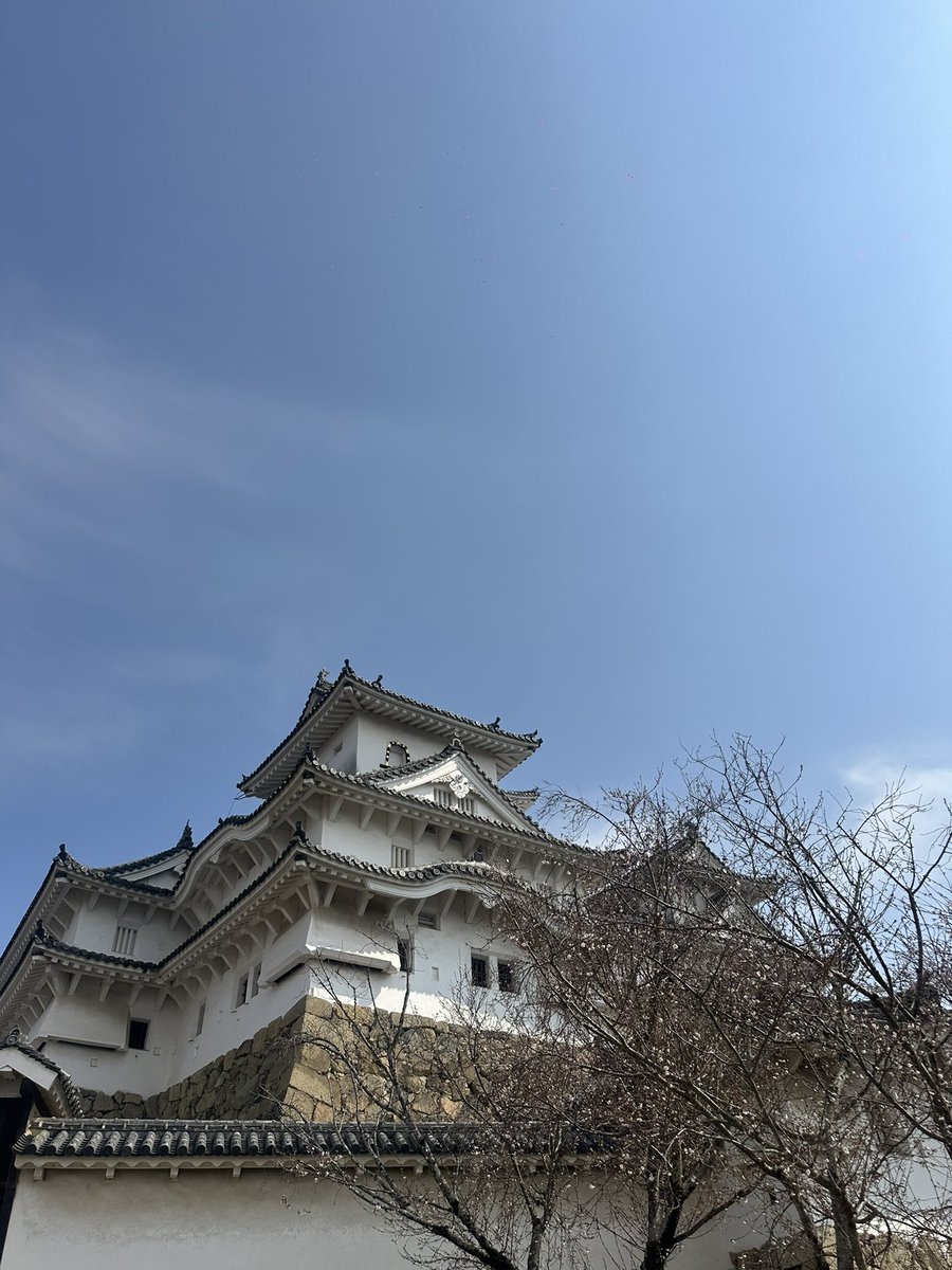 もねさん(なぎさん) tweet media