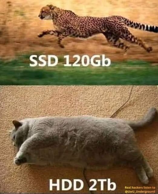 fidexCode tweet media